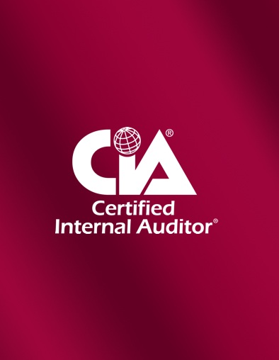 Professionnel se préparant à la certification CIA®